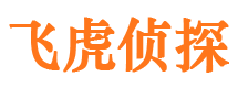 合山市私家侦探